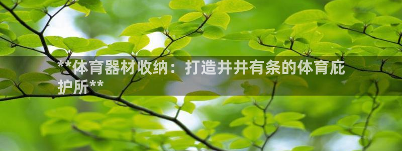 富联娱乐服务站地址：**体育器材收纳：打造井井有条的