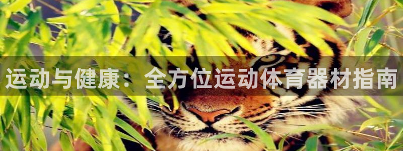 富联平台注册地址是哪里：运动与健康：全方位运动体育器