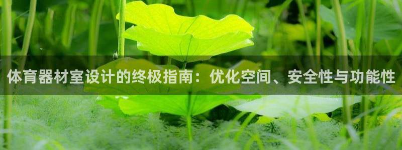 富联官网代理系列产品：体育器材室设计的终极指南：优化