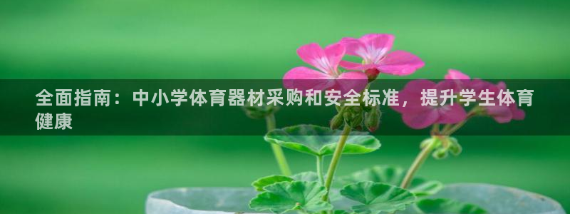 富联股份股票怎么样：全面指南：中小学体育器材采购和安