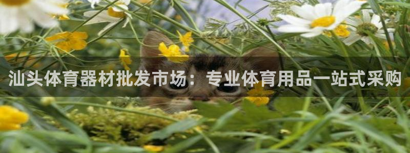 富联劳务：汕头体育器材批发市场：专业体育用品一站式采