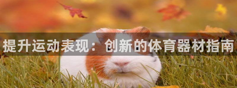 富联平台赢钱不给退怎么办：提升运动表现：创新的体育器