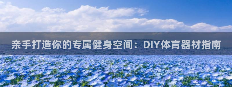 富联娱乐官方网站首页：亲手打造你的专属健身空间：DI