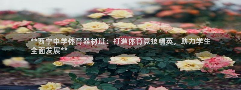 富联娱乐服务站地址：**西宁中学体育器材班：打造体育