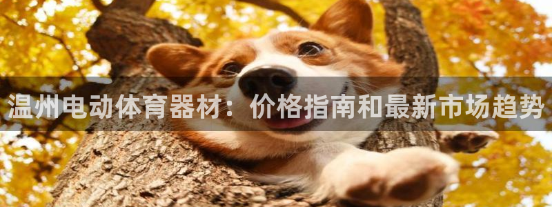 富联娱乐客服微信：温州电动体育器材：价格指南和最新市