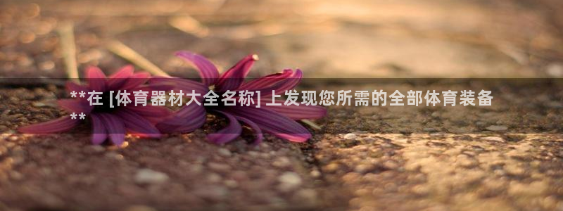 富联娱乐官方网站首页：**在 [体育器材大全名称] 