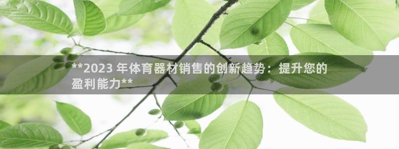 富联娱乐玩法机制：**2023 年体育器材销售的创新