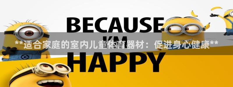 富联平台官网首页：**适合家庭的室内儿童体育器材：促