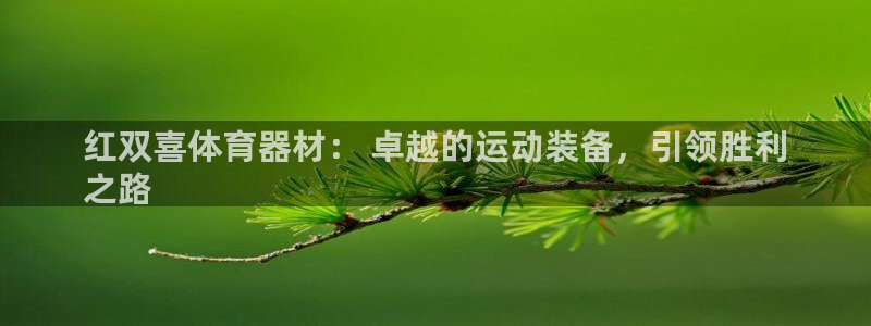 富联娱乐玩法机制：红双喜体育器材： 卓越的运动装备，