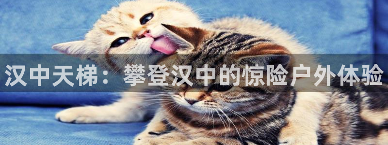 富联娱乐登录注册流程：汉中天梯：攀登汉中的惊险户外体