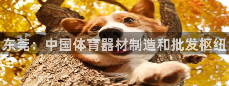 富联平台网站官网：东莞：中国体育器材制造和批发枢纽