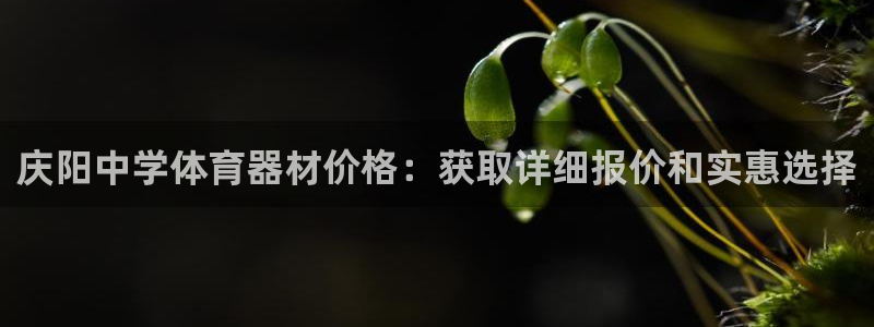 富联平台登录：庆阳中学体育器材价格：获取详细报价和实