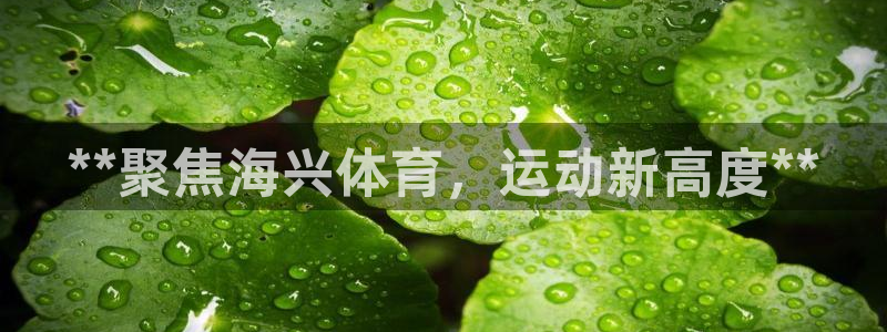 富联官方网站入口下载安装：**聚焦海兴体育，运动新高