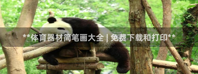 富联平台派7O777：**体育器材简笔画大全 | 免