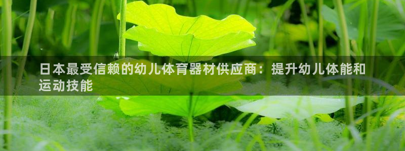 富联娱乐官方网站下载安卓：日本最受信赖的幼儿体育器材