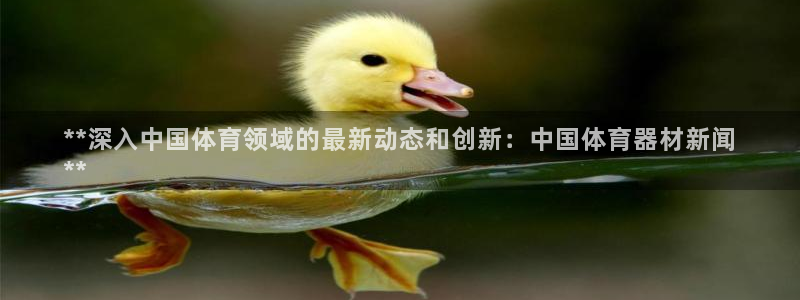 富联化工：**深入中国体育领域的最新动态和创新：中国