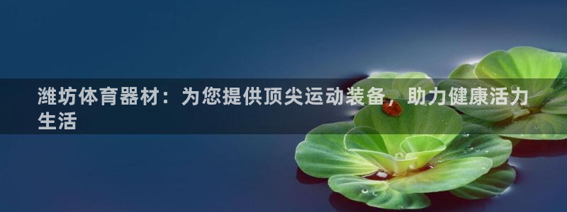 富联官网登录：潍坊体育器材：为您提供顶尖运动装备，助