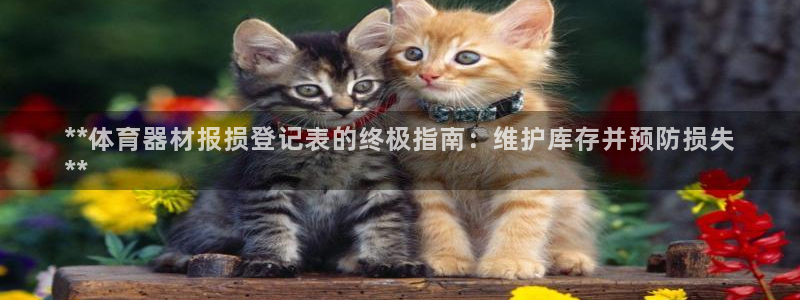 股票富联申购今天多少钱：**体育器材报损登记表的终极