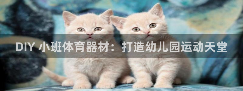 富联娱乐平台是什么平台：DIY 小班体育器材：打造幼