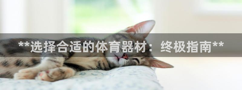 富联娱乐登录注册入口官网网址：**选择合适的体育器材