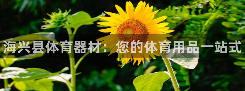 富联平台赢钱不给退怎么办呢：海兴县体育器材：您的体育