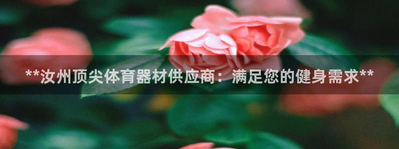 富联官方网站入口网址查询：**汝州顶尖体育器材供应商