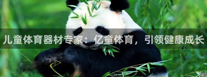 富联平台赢钱不给退怎么办理：儿童体育器材专家：亿童体