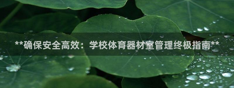 富联娱乐老板叫什么：**确保安全高效：学校体育器材室管理终极