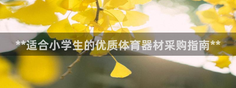 富联平台联 5O6917 富联：**适合小学生的优质