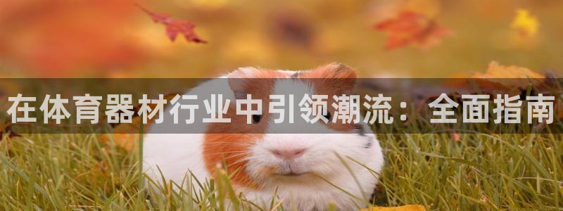 富联官方网站首页入口下载：在体育器材行业中引领潮流：