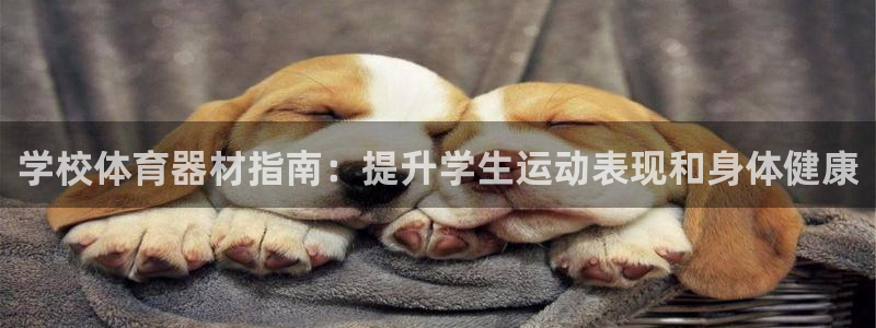 富联官方网站首页：学校体育器材指南：提升学生运动表现
