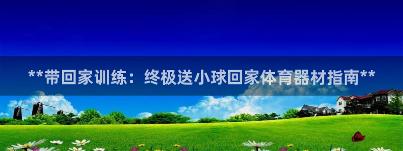 富联商城：**带回家训练：终极送小球回家体育器材指南