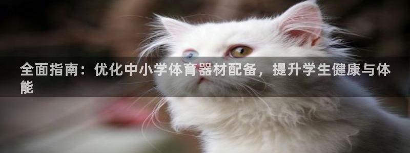 富联娱乐登录注册入口官网下载安卓：全面指南：优化中小