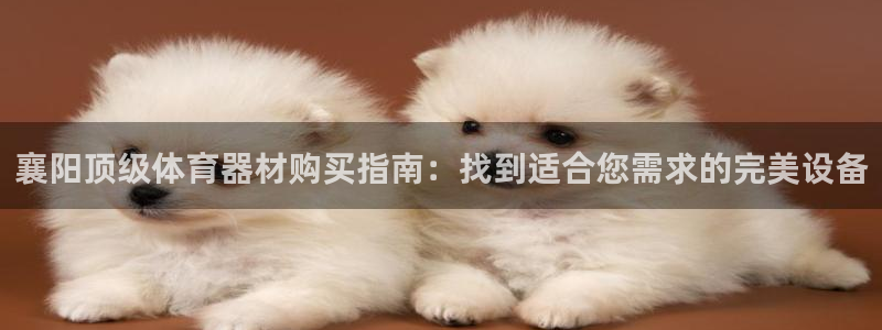 富联平台登录入口官网：襄阳顶级体育器材购买指南：找到
