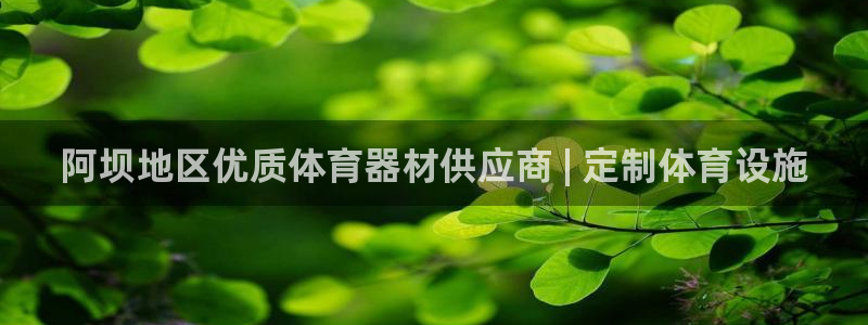富联智能：阿坝地区优质体育器材供应商 | 定制体育设
