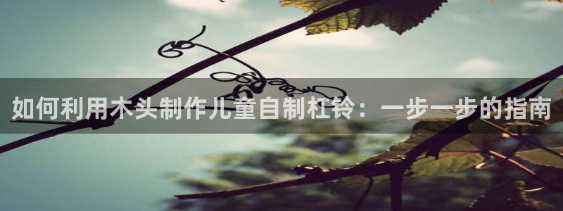 富联官方网站入口查询电话：如何利用木头制作儿童自制杠