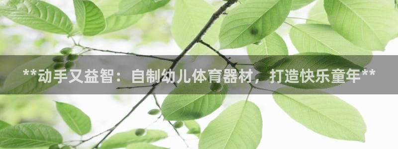 富联超市：**动手又益智：自制幼儿体育器材，打造快乐
