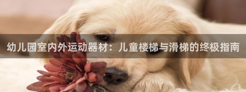 富联官方网站入口查询电话：幼儿园室内外运动器材：儿童