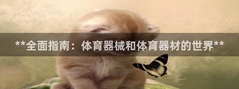 富联娱乐访问中国网站：**全面指南：体育器械和体育器