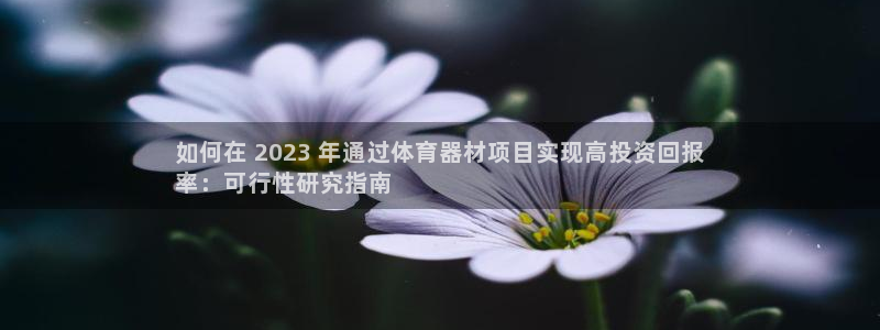 富联娱乐登录注册不了：如何在 2023 年通过体育器