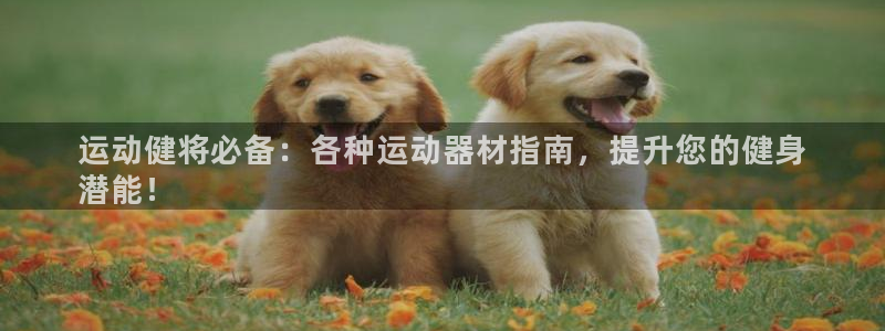 富联平台木 5o69I7：运动健将必备：各种运动器材