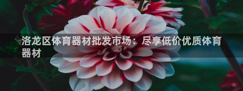 富联娱乐总代理是谁：洛龙区体育器材批发市场：尽享低价优质体育