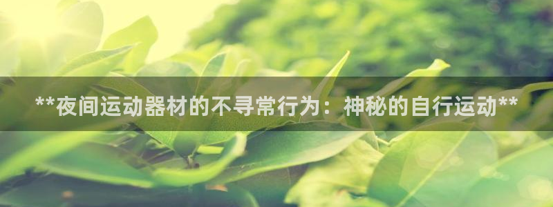富联平台主管：**夜间运动器材的不寻常行为：神秘的自