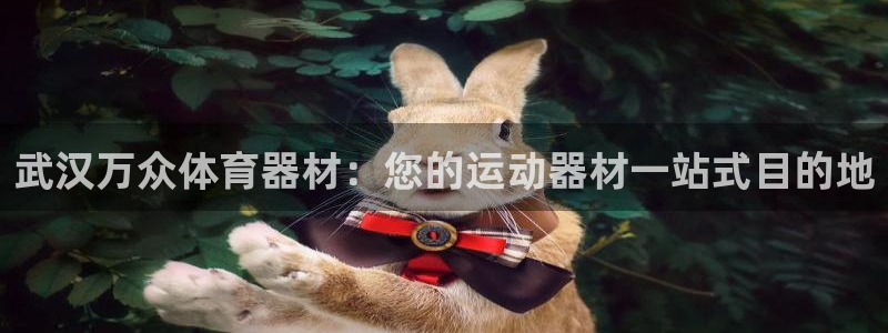富联娱乐官方网站：武汉万众体育器材：您的运动器材一站