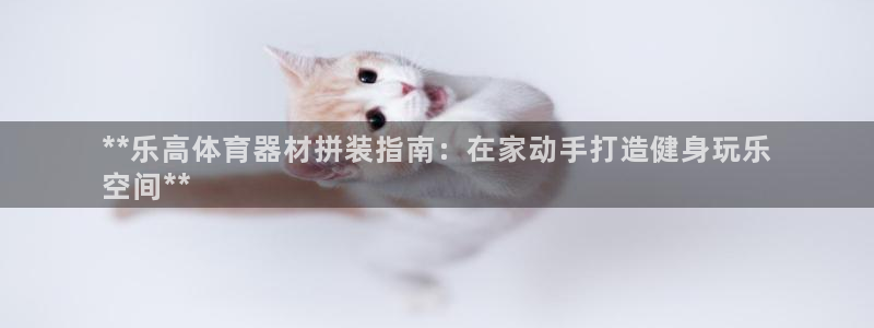 富联平台按7O777：**乐高体育器材拼装指南：在家