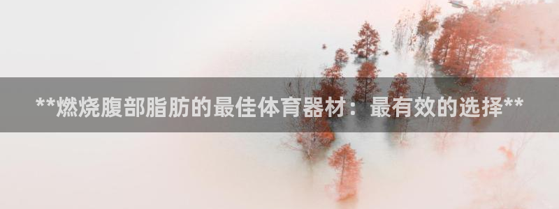 富联平台地址查询：**燃烧腹部脂肪的最佳体育器材：最