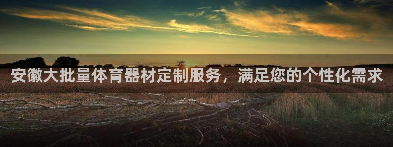 富联平台总代理电话：安徽大批量体育器材定制服务，满足