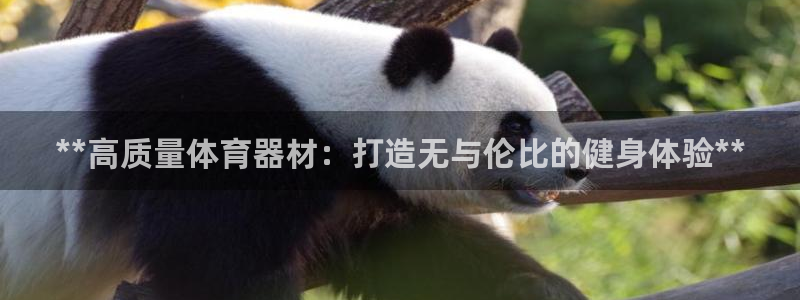 富联娱乐测速登录：**高质量体育器材：打造无与伦比的