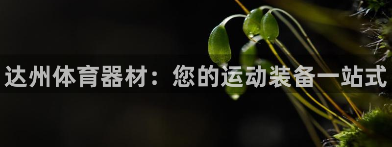 富联娱乐代理怎么做：达州体育器材：您的运动装备一站式