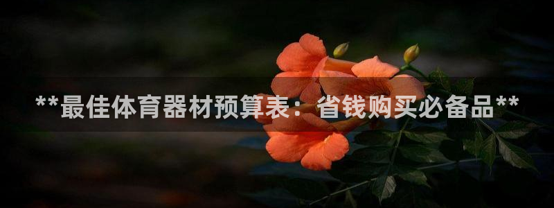 富联平台目 411O31 富联：**最佳体育器材预算